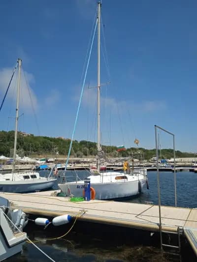 Family sailing boat trips