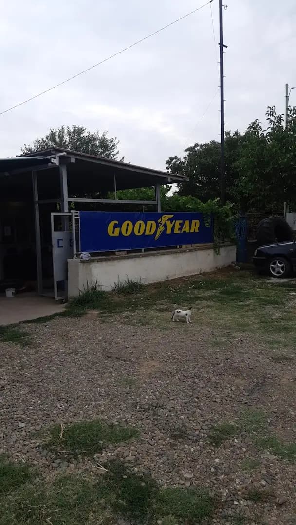 Сервиз Гуми