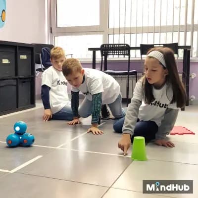MindHub Борово