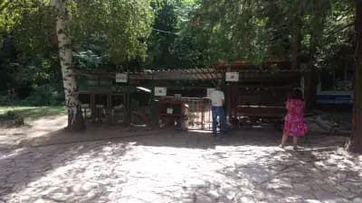 Зоокът