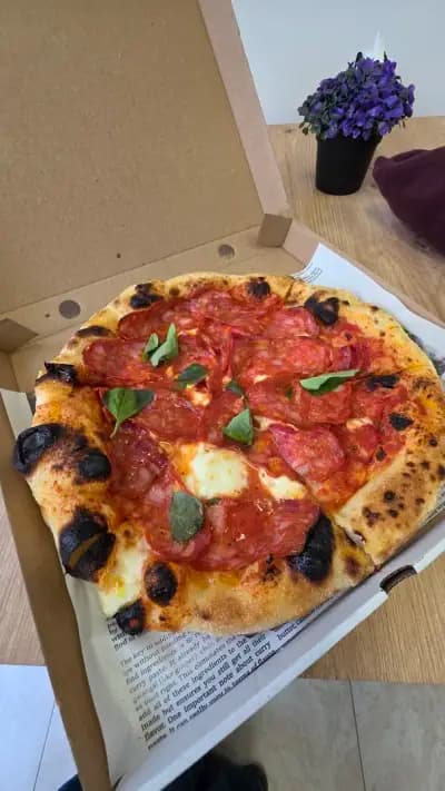 Pizzeria D'Amico