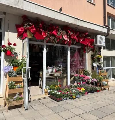 Бутик за цветя FloraLab