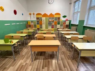 Поли Клийн