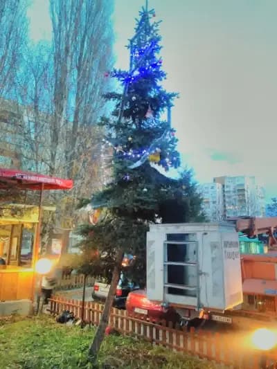 Скара "Чичо Манчо"