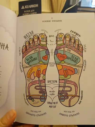 Healing Hands by Danny