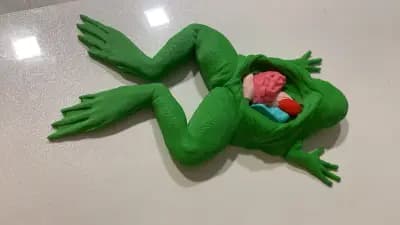 Experify 3D Print