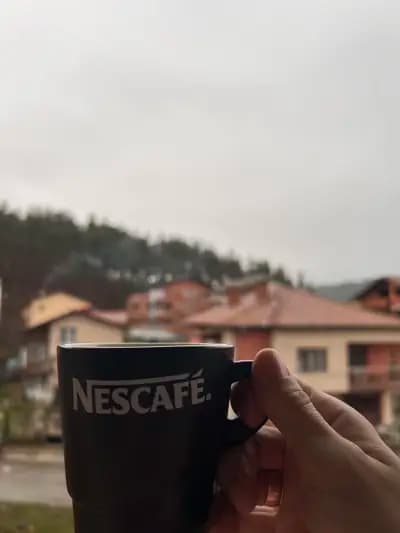Guest House ''Boricho''