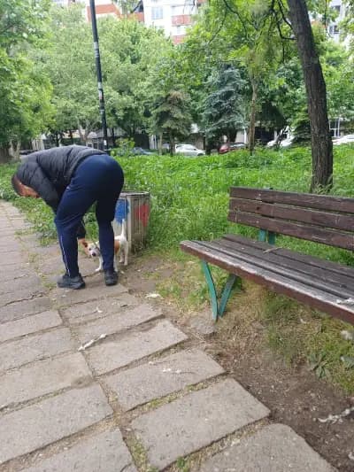 ОП Градини и паркове
