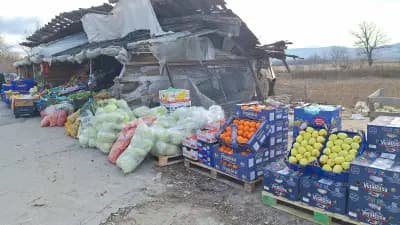 Зеленчукова борса "При Аби"