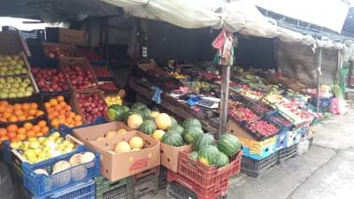 Зеленчукова борса "При Аби"