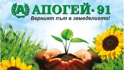 Апогей 91