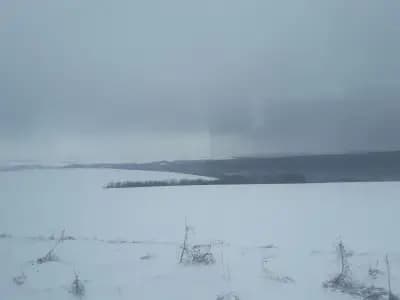 АХ спорт - бънджи скокове Писанец