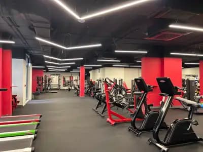 La Palestra