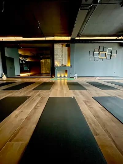 YogaLab Каменица парк