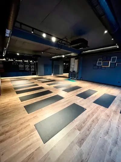 YogaLab Каменица парк