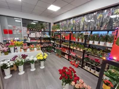Цветарница Веселка | Магазин за цветя във Варна