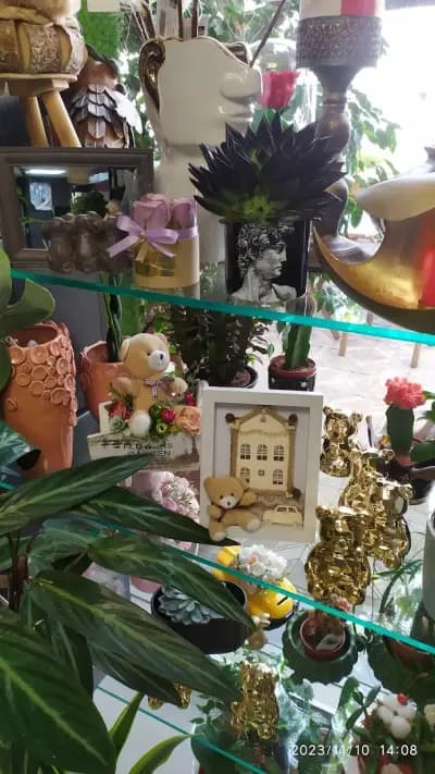 Цветарница “ФЛОРА”