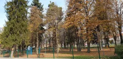 С.Мосомище