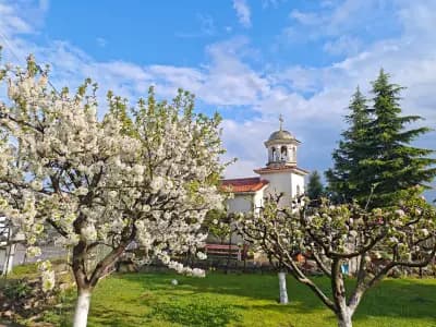 Храм Свети Иван Рилски, село Брястово
