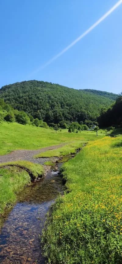Врачанска екопътека "Боров камък"