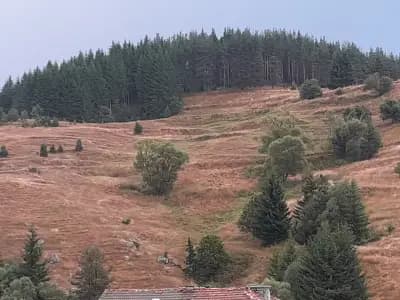Къща за гости ЖАНИ