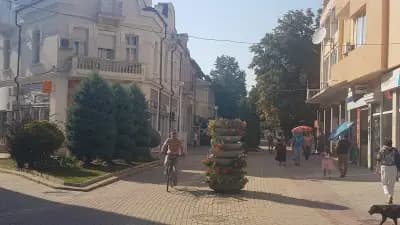 Бистро Бохеми