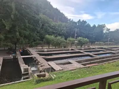 Комплекс „Пъстървата“