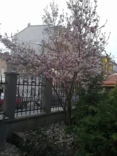 Катедрален храм „Свети Йоан Предтеча“