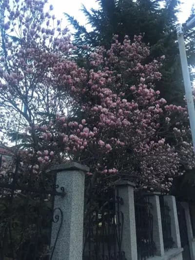 Катедрален храм „Свети Йоан Предтеча“
