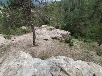 Панорамна Площадка ,,Скалите"