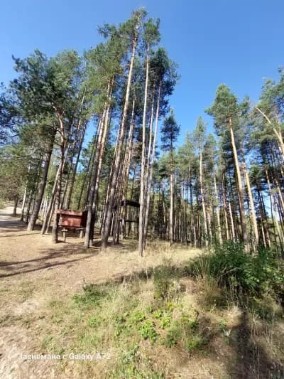 Панорамна Площадка ,,Скалите"