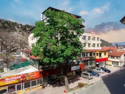 Hotel Rila