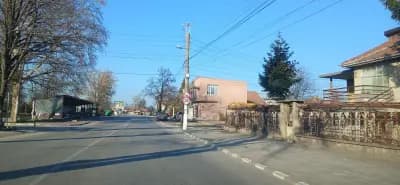 ЖЕЛЕЗАРИЯ