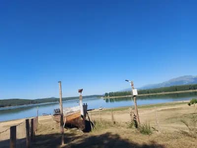 Бар Кибици