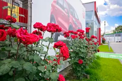 Годишни технически прегледи и Автосервиз МОНЧЕВ-90 ООД