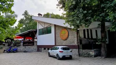 Старият Явор