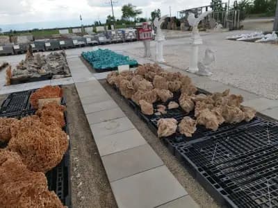 Градински център "Азария"