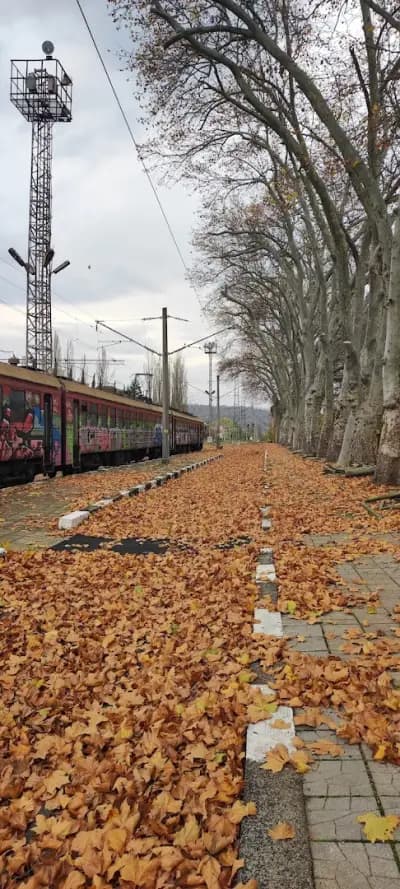 ЖП гара