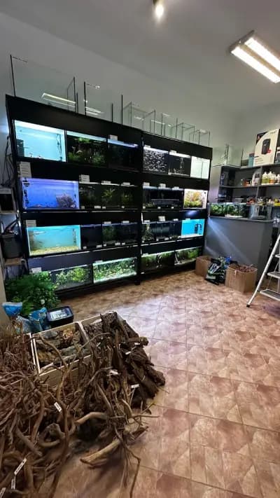 Aqua Studio Varna