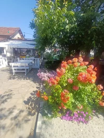 Ресторант Каците