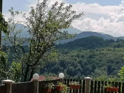 Къща за гости Мели, Габрово