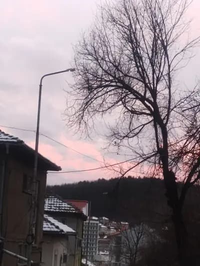 ОУ РАН БОСИЛЕК