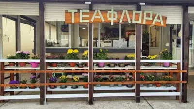 Теафлора - Цветарски магазин и ръчно изработени подаръци