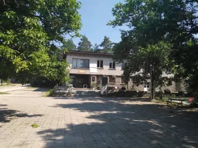Кметство Православен