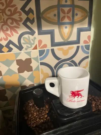Bellissimo Coffee