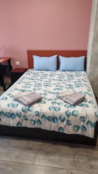 Lux apartment Montana