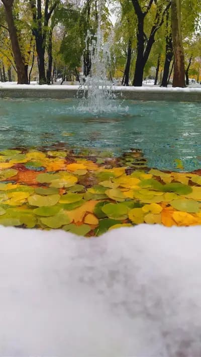 Fountain of Youth