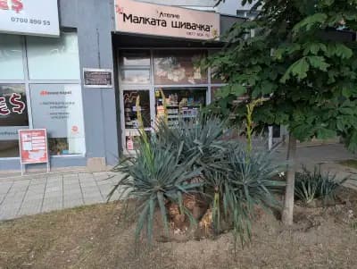 Малката шивачка