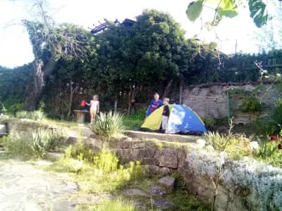 Пройновската къща