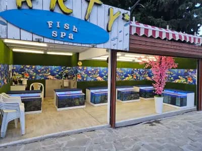 Fish SPA Massage Relax